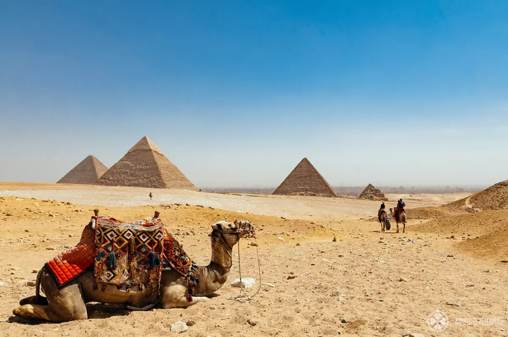 kerala to egypt tour package