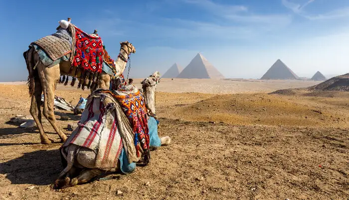 senior travel to egypt