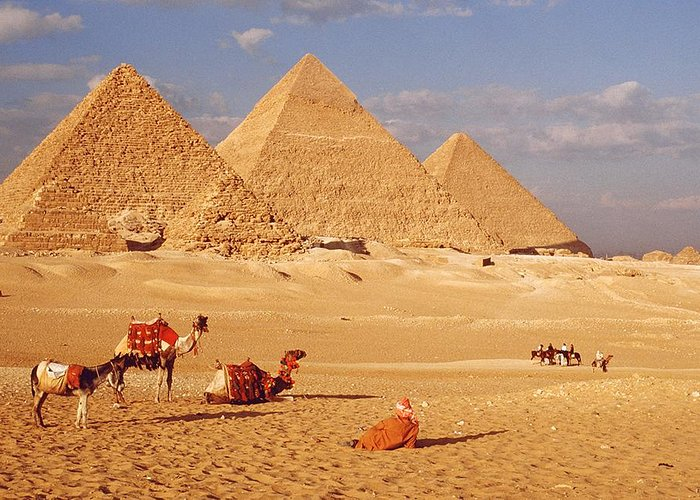 senior tours egypt